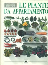 LE PIANTE DA APPARTAMENTO