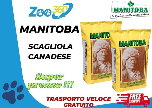 Manitoba scagliola canadese - scagliola,