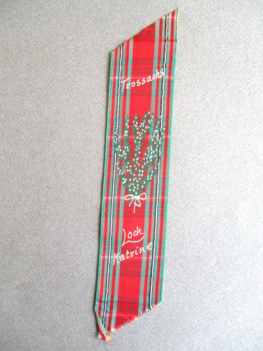 Handpainted ribbon bookmark - handpainted,