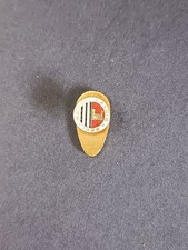 pins spilla calcio Ascoli