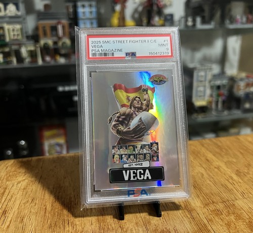 2025 vega smc - smc, fighter