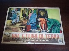 fotobusta - Due ettari di