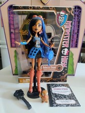 Monster High ROBECCA STEAM basic eccellente mai giocata completa rara 2012 G1
