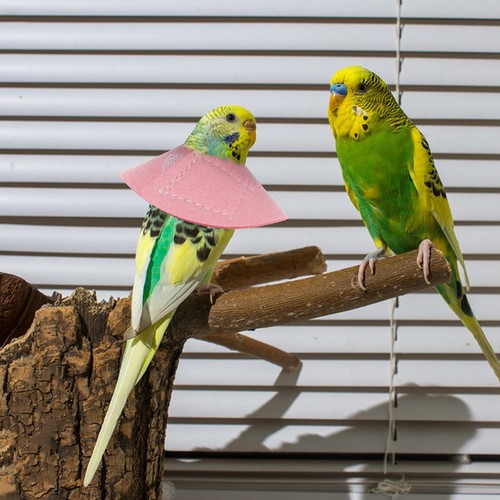 Copricollo uccelli collo - ,