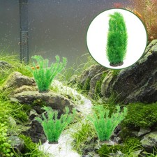  Accessori Per Acquario Pianta