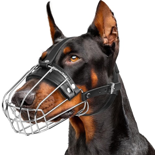 Clevertail museruola doberman - museruola,