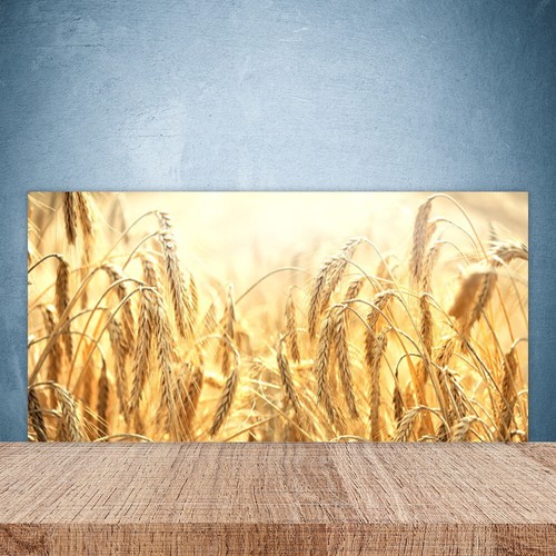 Paraschizzi cucina 100x50 - paraschizzi,