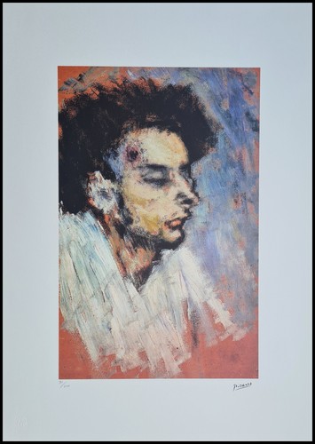 Pablo picasso the suicide - picasso,