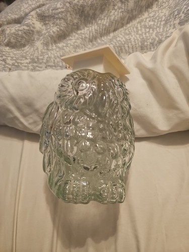 Vintage wise old owl - old,