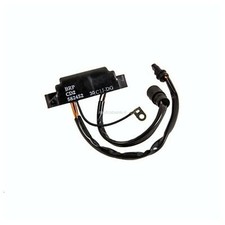 Centralina elettrica Evinrude