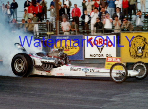Tom mongoose mcewen 68 - "mongoose",