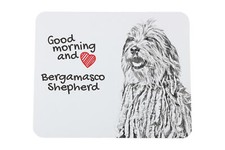 Cane pastore bergamasco - pastore,