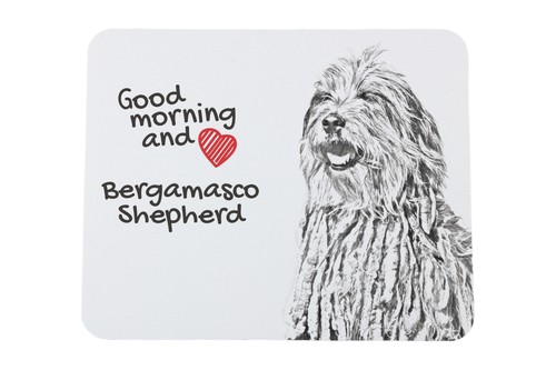 Cane pastore bergamasco - cane, da