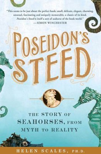 Poseidon steed the - :,