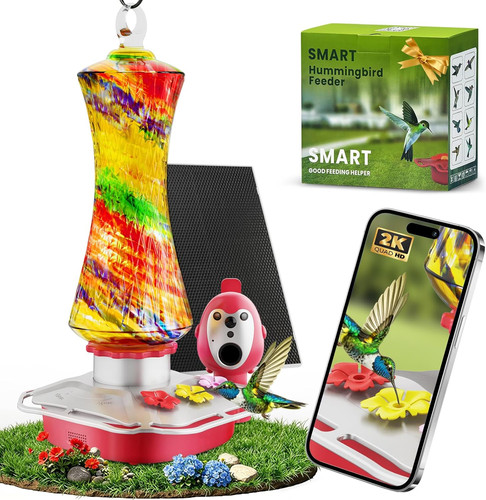 Alimentatore colibrì con - colibrì,