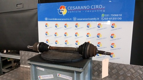 Semialbero ant compl sx - compl.,