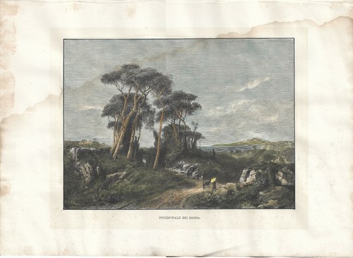 Stampa antica massa somma - stampa,