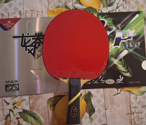 Racchetta ping pong custom - racchetta,