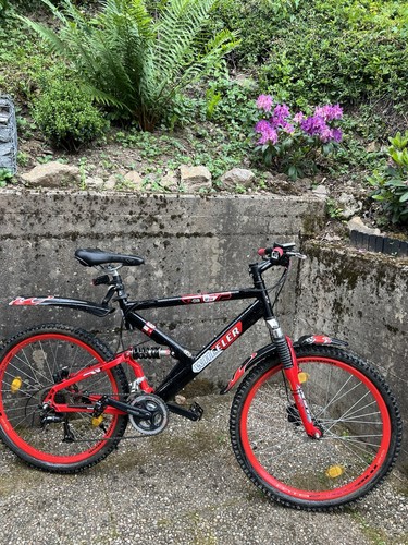Wheeler mountain bike - fr,