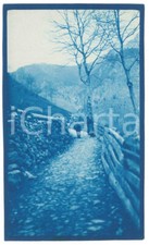 1905 ca VALTELLINA (?) Anziane con gerla - Foto 14x8 cm