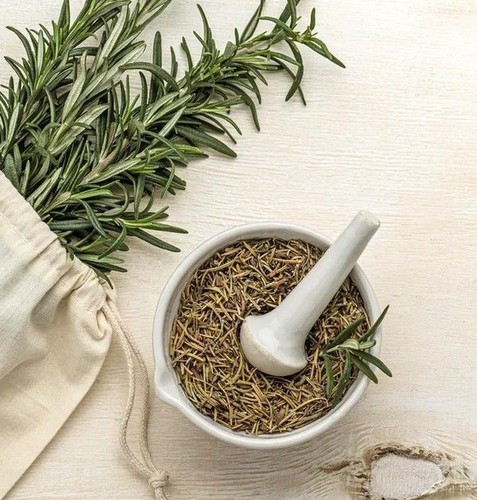 Foglie rosmarino biologiche - rosmarino,