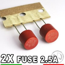 2X FUSIBILI 2.5A 250V Fusibile