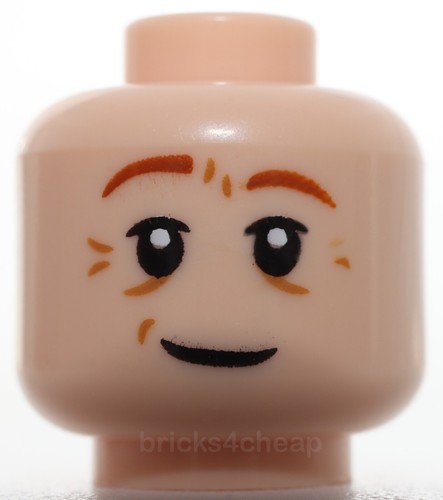 Lego testa doppio - lego, lato