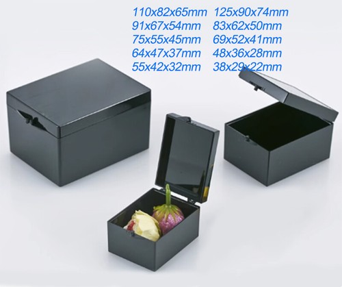 Scatola plastica nera - plastica,
