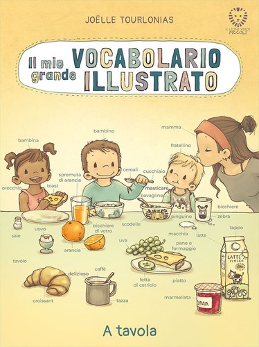 Mio grande vocabolario - il,