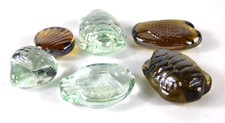 Lotto 6 Creature Marine in