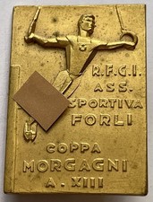 Distintivo RFGI Reale