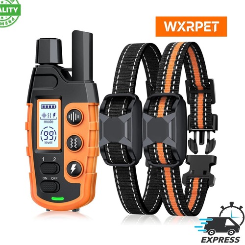 Wxrpet collare addestramento - collare,