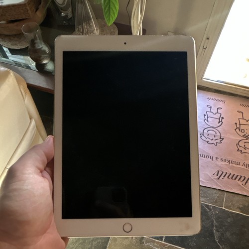 Apple ipad pro ios oro - ios,