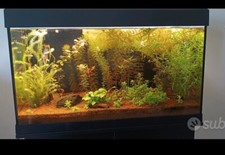 acquario completo usato