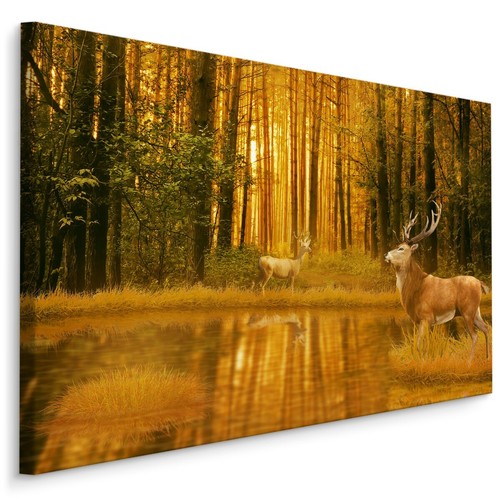 Quadri tela canvas xxl - canvas,