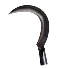 Roncola falcetta falcetto