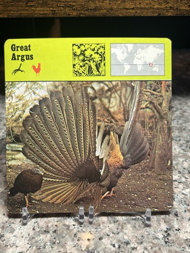 Great argus 1977 - great, edizioni