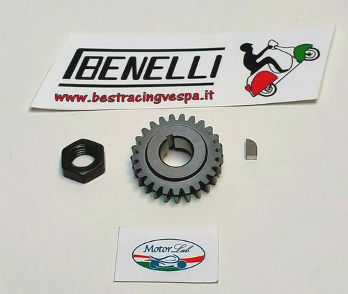 Pignone per 69 best - pignone,
