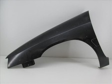 PINNA ANTERIORE SINISTRA