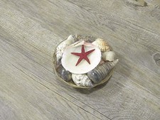 CESTO CONCHIGLIE MISTE