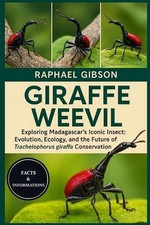 Giraffe Weevil: Exploring