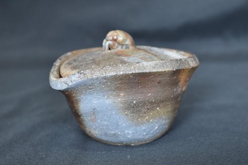 Teiera giapponese bizen - teiera,
