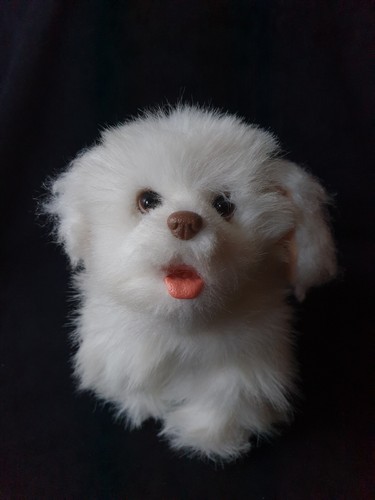 Hasbro 2010 fur real - 2010, friends