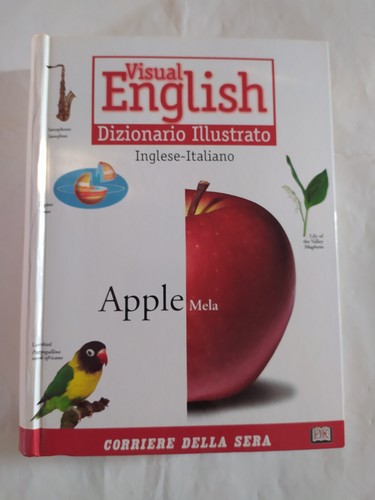 Visual english dizionario - english,