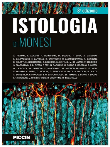 Libro nuovo cartonato - libro,