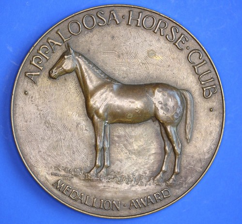 Appaloosa repubblica ceca - appaloosa,