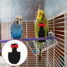  Pannolino Per Pappagalli