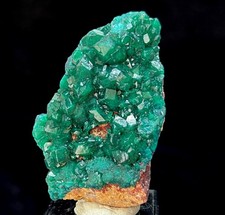 Dioptasi gemma 58 mm estratta dal Congo, esemplare minerale naturale