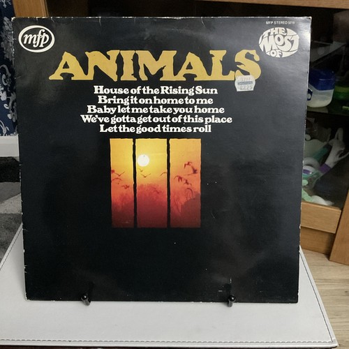 Animals the most 12 - animals", of"