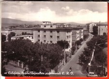 CARTOLINA  COLLEFERRO    B/N
